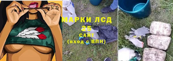 ГАЛЛЮЦИНОГЕННЫЕ ГРИБЫ Абаза