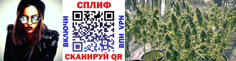 где найти наркотики Златоуст МЕГА tor МАРИХУАНА семена